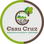 diseno-de-logos-en-charlotte-nc-ESAU-scaled.webp