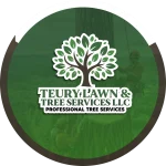diseno-de-logos-en-charlotte-nc-tEURYlAWN-scaled.webp